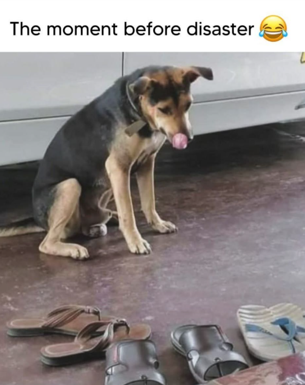 The moment before disaster C