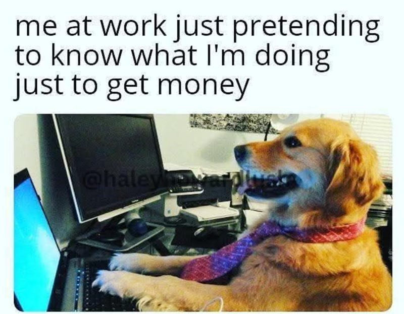 me at work just pretending to know what I'm doing just to get money @haleyvar