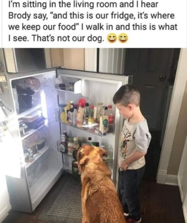 I'm sitting in the living room and I hear Brody say, "and this is our fridge, it's where we keep our food" I walk in and this is what I see. That's not our dog. ☺☺