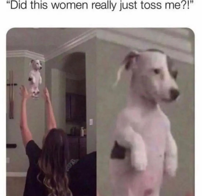 "Did this women really just toss me?!"