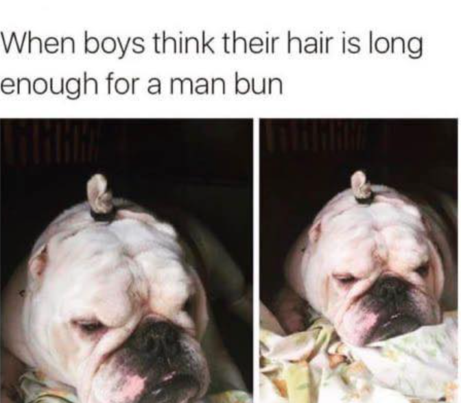When boys think their hair is long enough for a man bun
