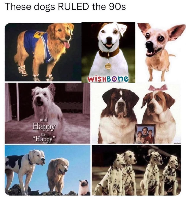 These dogs RULED the 90s and Happy as "Happy" H WISHBONE