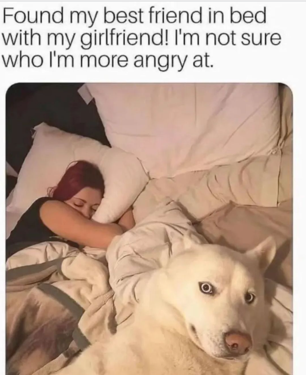 Found my best friend in bed with my girlfriend! I'm not sure who I'm more angry at.