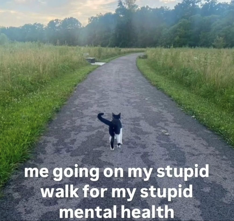 Cheezburger Image 10612220672