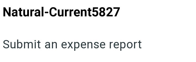 Natural-Current5827 Submit an expense report