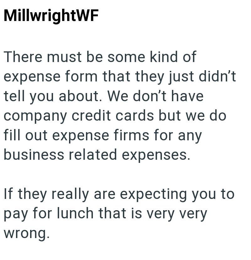 MillwrightWF There must be some kind of expense form that they just didn't tell you about. We don't have company credit cards but we do fill out expense firms for any business related expenses. If they really are expecting you to pay for lunch that is very very wrong.