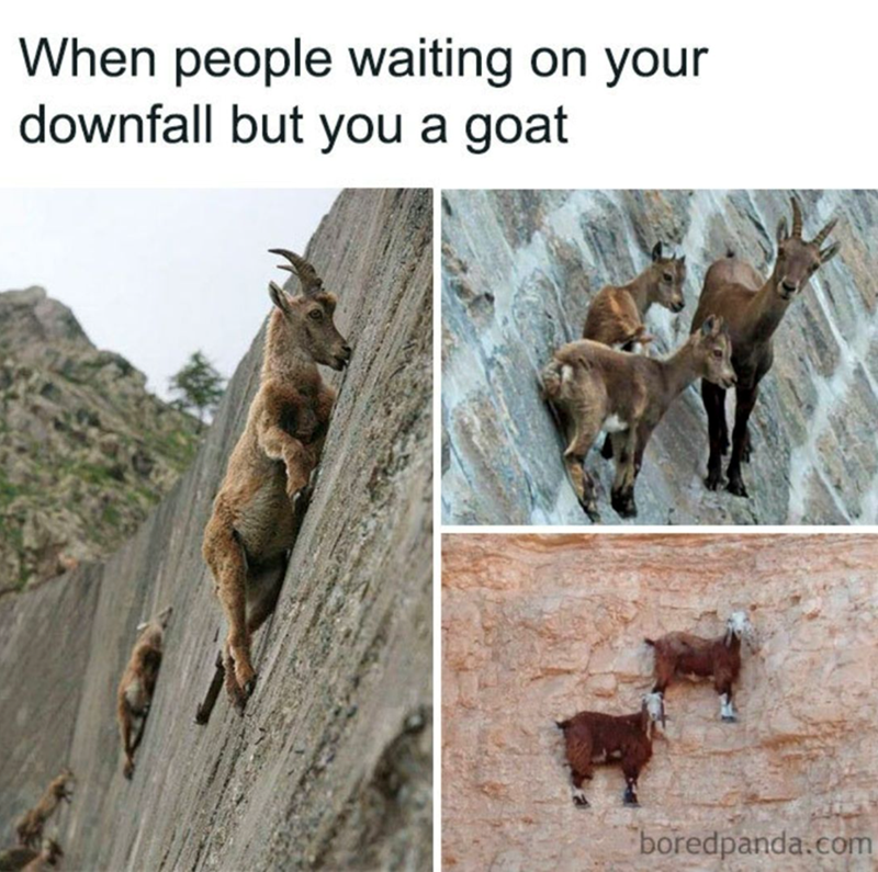 When people waiting on your downfall but you a goat boredpanda.com