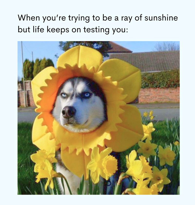 When you're trying to be a ray of sunshine but life keeps on testing you: