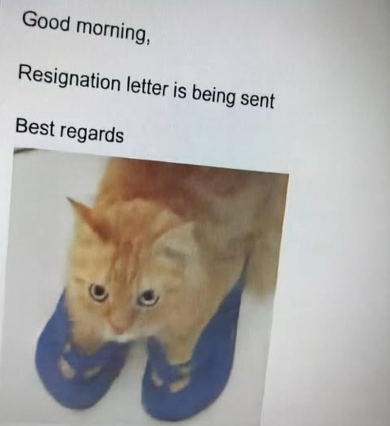 Good morning, Resignation letter is being sent Best regards
