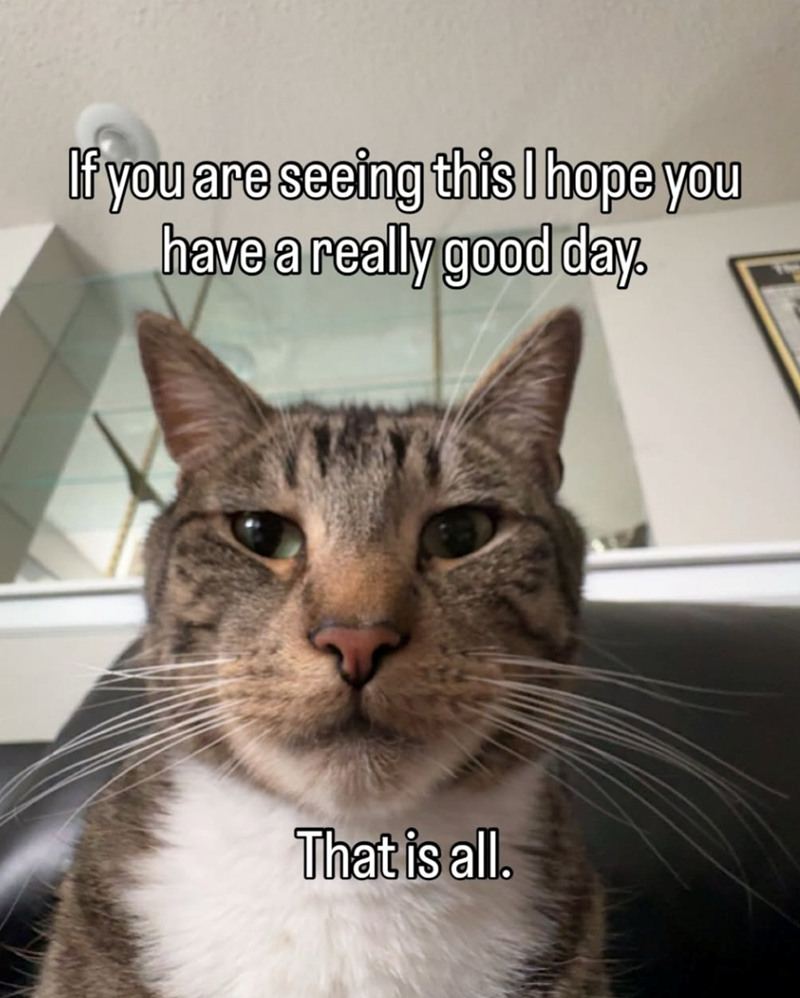 If you are seeing this I hope you have a really good day. That is all.