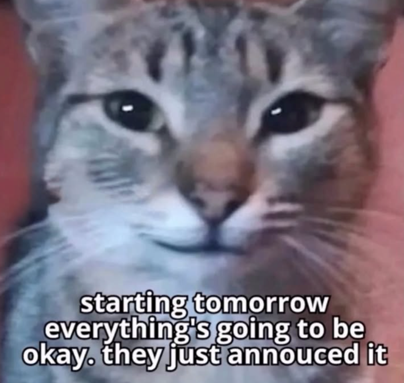starting tomorrow everything's going to be okay, they just annouced it