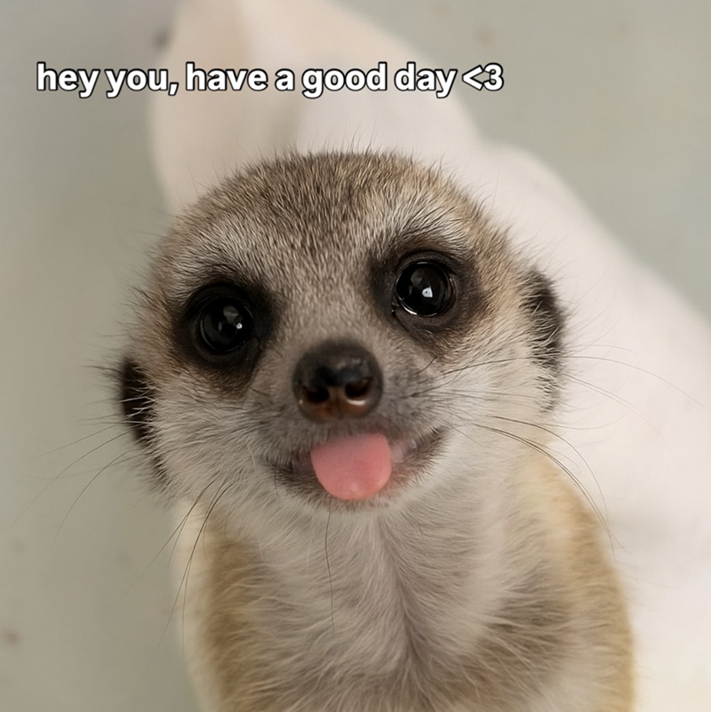 hey you, have a good day <3