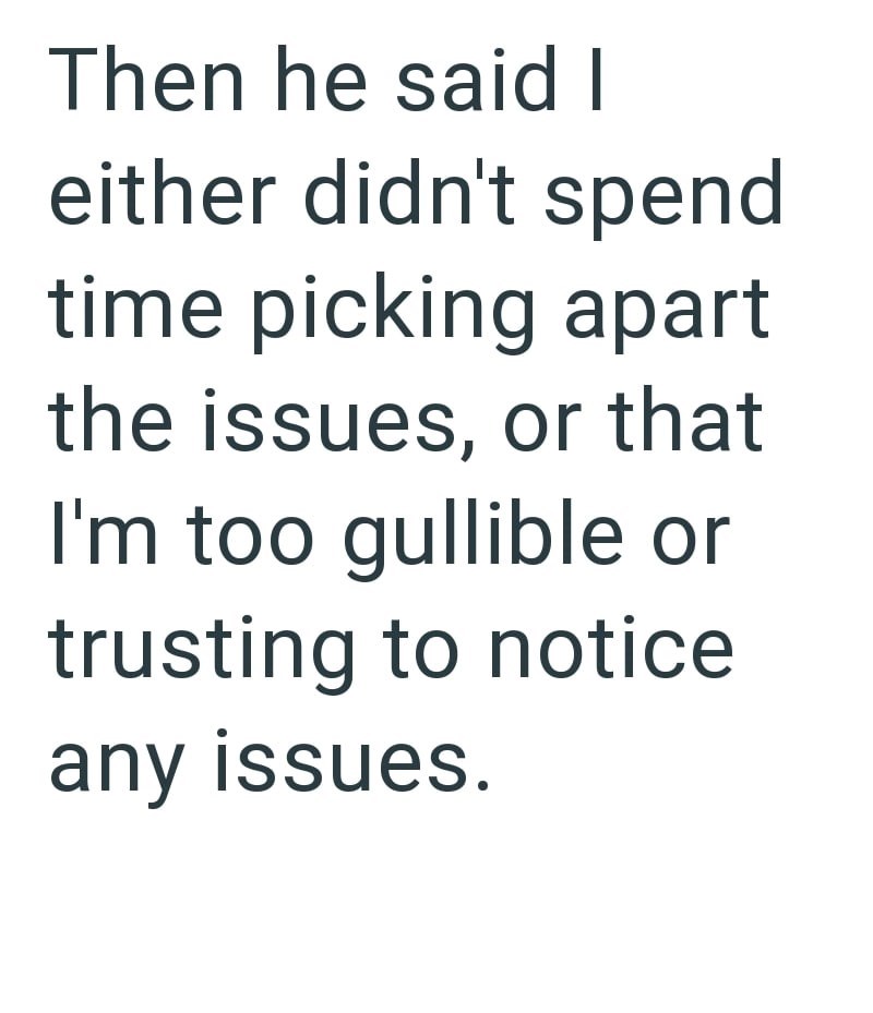 Then he said I either didn't spend time picking apart the issues, or that I'm too gullible or trusting to notice any issues.