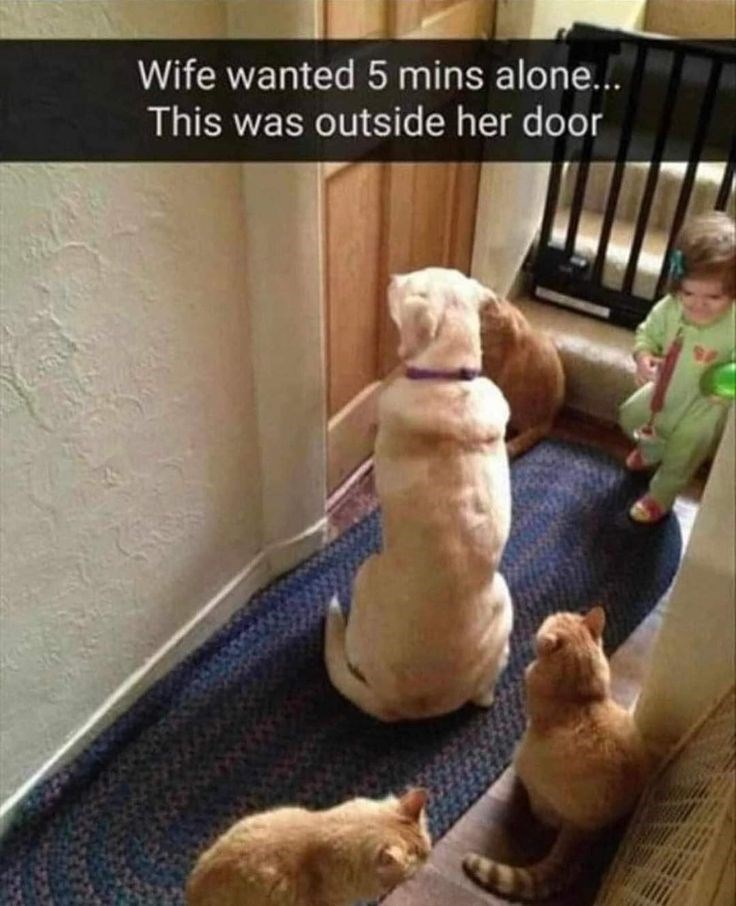 Wife wanted 5 mins alone... This was outside her door