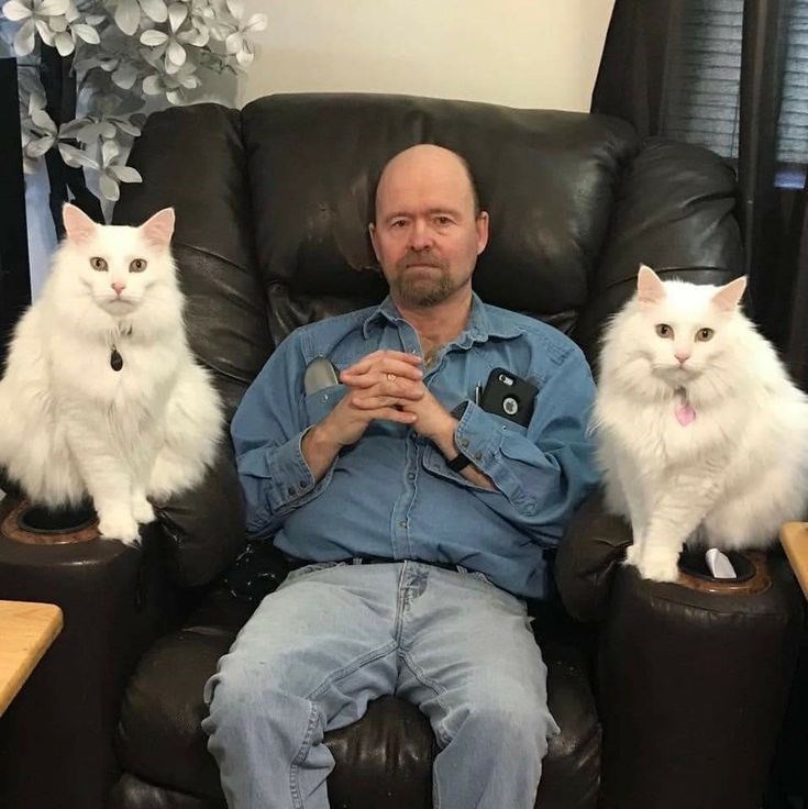 Cheezburger Image 10612277248