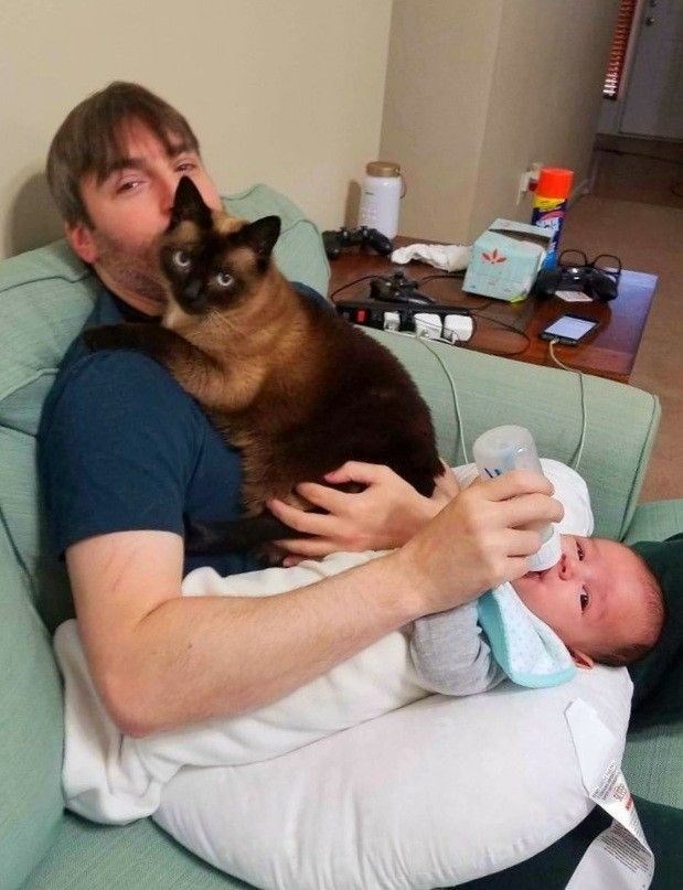 Cheezburger Image 10612277760