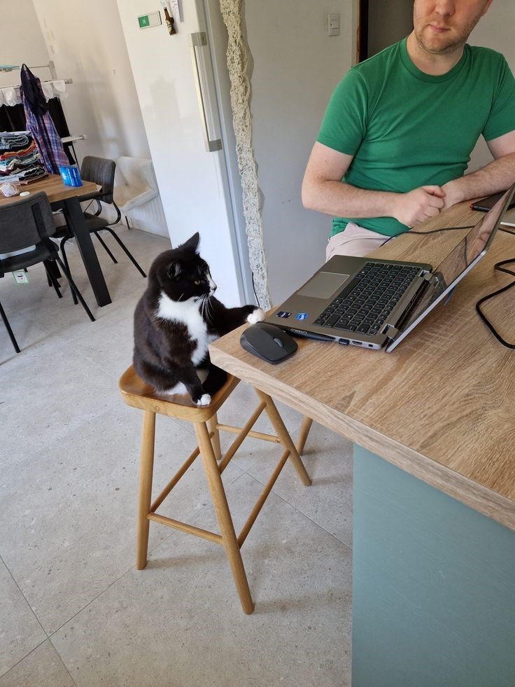 Cheezburger Image 10612278016