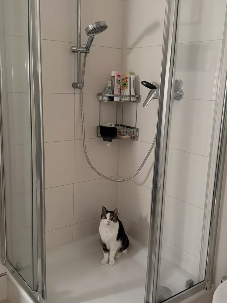 Cheezburger Image 10612279040