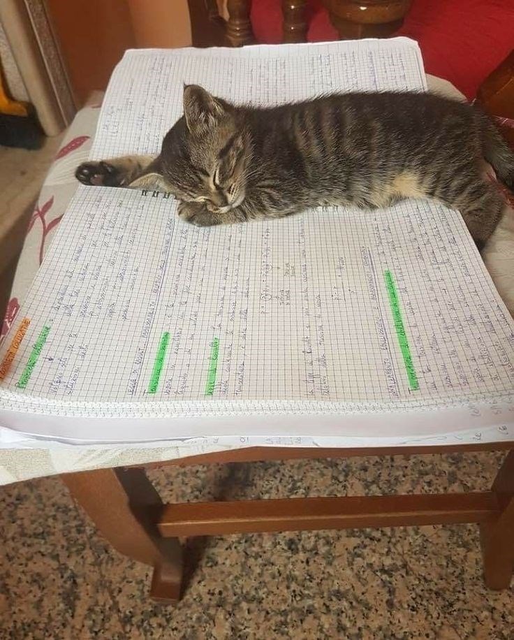 CRET COLGATE Proseich abstie मुबक 97