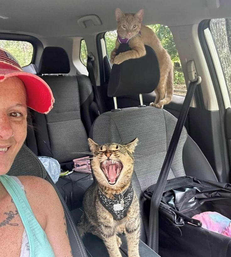 Cheezburger Image 10612280320