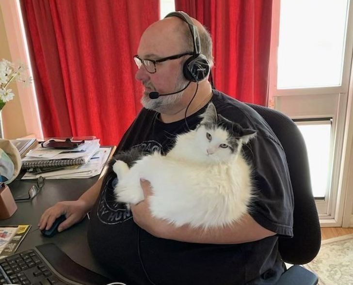 Cheezburger Image 10612280832