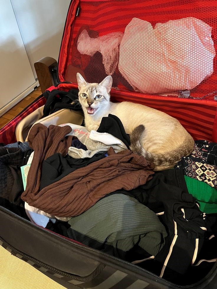 Cheezburger Image 10612281088