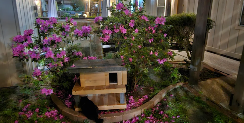 Cheezburger Image 10612289024