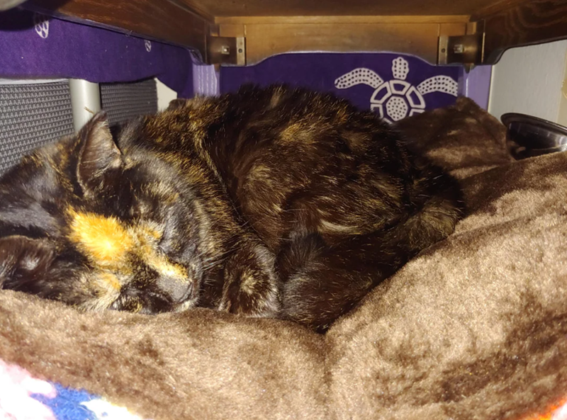 Cheezburger Image 10612289792