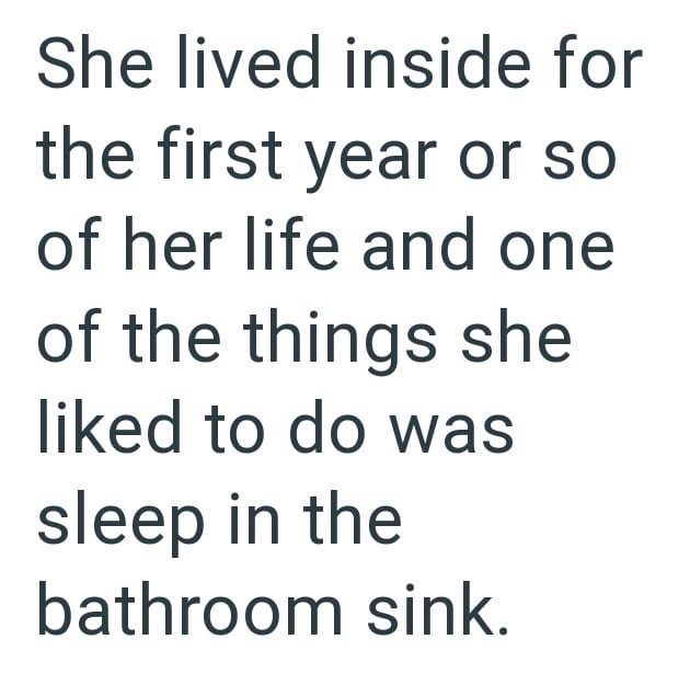 She lived inside for the first year or so of her life and one of the things she liked to do was sleep in the bathroom sink.
