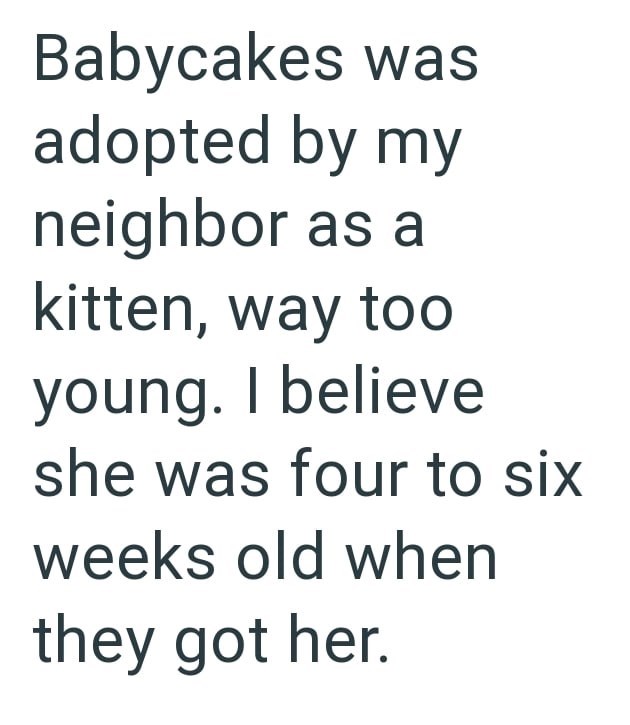Babycakes was adopted by my neighbor as a kitten, way too young. I believe she was four to six weeks old when they got her.