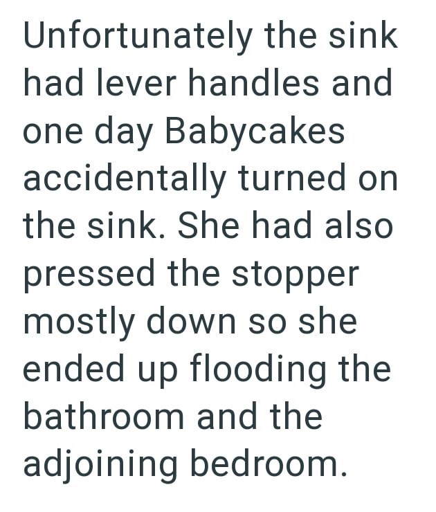 Unfortunately the sink had lever handles and one day Babycakes accidentally turned on the sink. She had also pressed the stopper mostly down so she ended up flooding the bathroom and the adjoining bedroom.