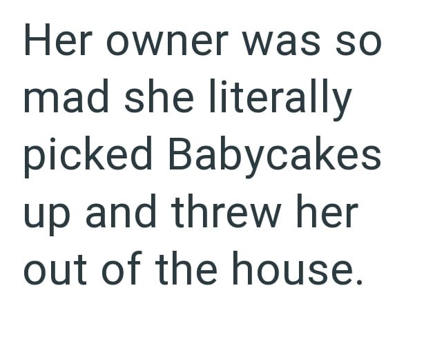 Her owner was so mad she literally picked Babycakes up and threw her out of the house.