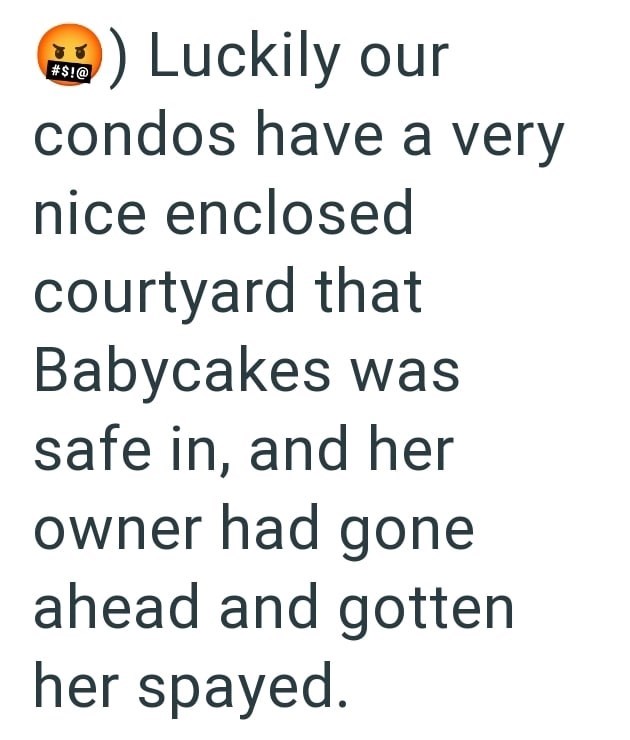 #$!@ ) Luckily our condos have a very nice enclosed courtyard that Babycakes was safe in, and her owner had gone ahead and gotten her spayed.