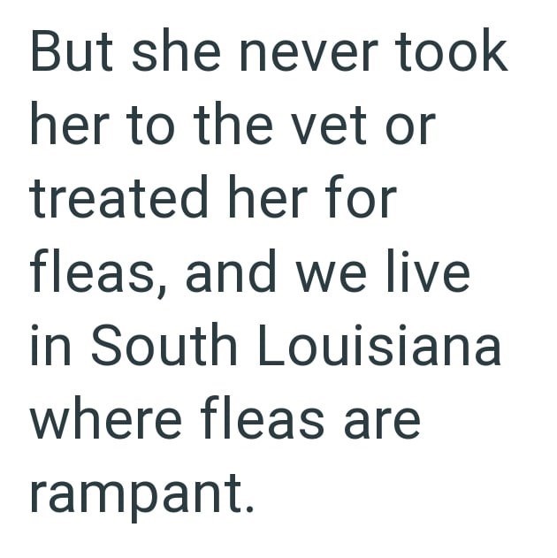 But she never took her to the vet or treated her for fleas, and we live in South Louisiana where fleas are rampant.