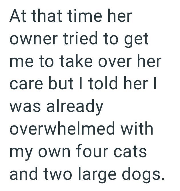 At that time her owner tried to get me to take over her care but I told her I was already overwhelmed with my own four cats and two large dogs.