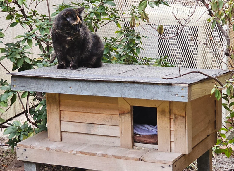 Cheezburger Image 10612293120