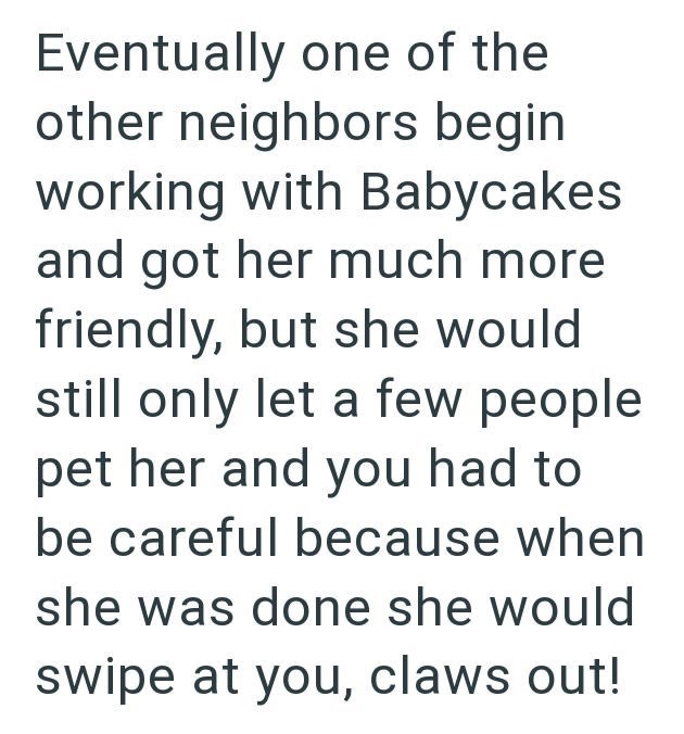 Eventually one of the other neighbors begin working with Babycakes and got her much more friendly, but she would still only let a few people pet her and you had to be careful because when she was done she would swipe at you, claws out!