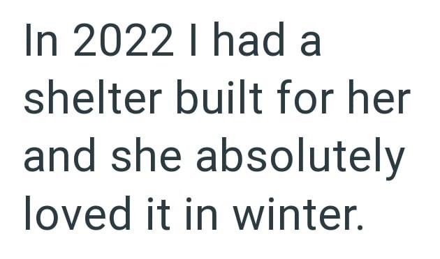 In 2022 I had a shelter built for her and she absolutely loved it in winter.