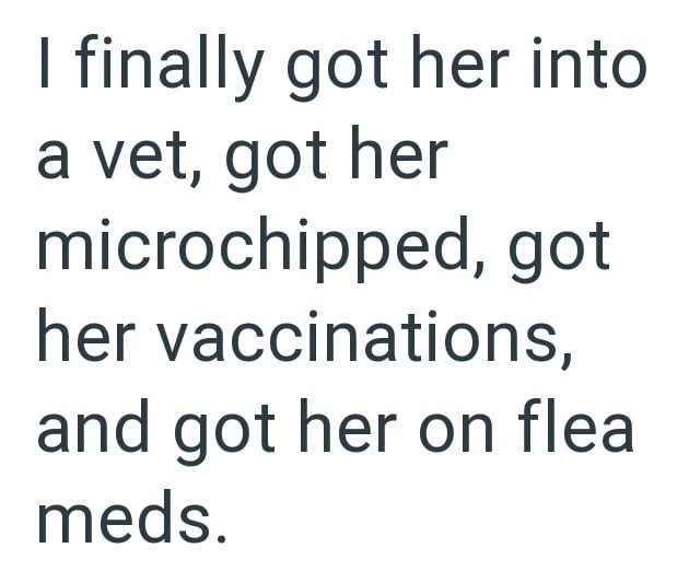 I finally got her into a vet, got her microchipped, got her vaccinations, and got her on flea meds.