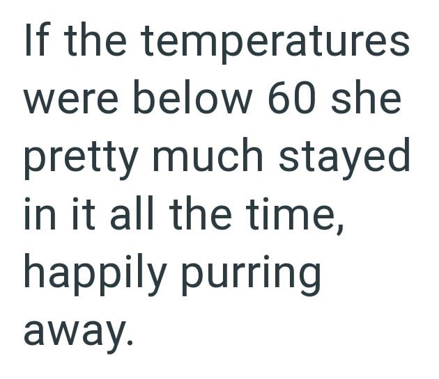 If the temperatures were below 60 she pretty much stayed in it all the time, happily purring away.