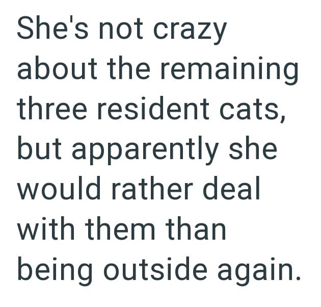 She's not crazy about the remaining three resident cats, but apparently she would rather deal with them than being outside again.
