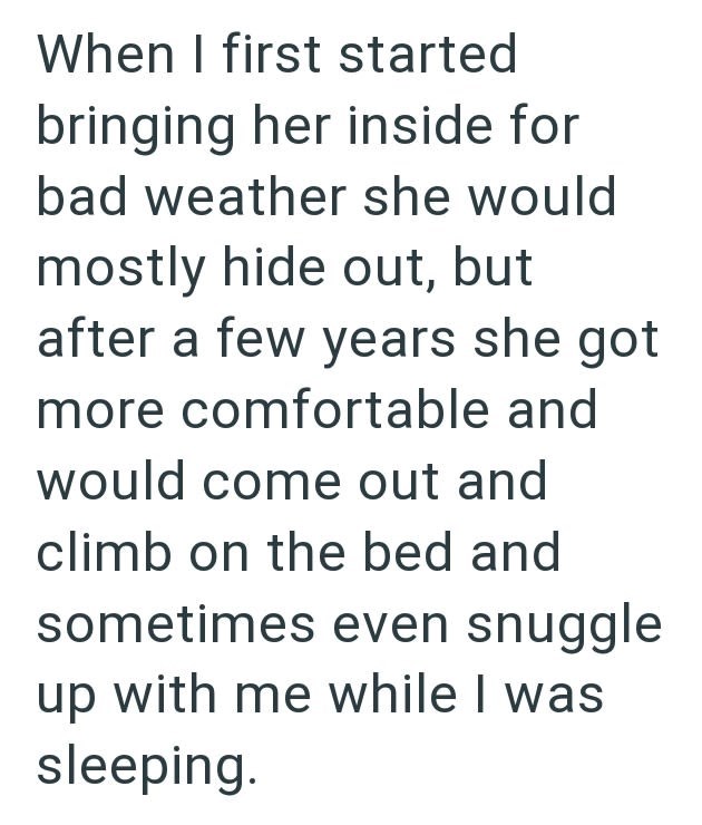 When I first started bringing her inside for bad weather she would mostly hide out, but after a few years she got more comfortable and would come out and climb on the bed and sometimes even snuggle up with me while I was sleeping.