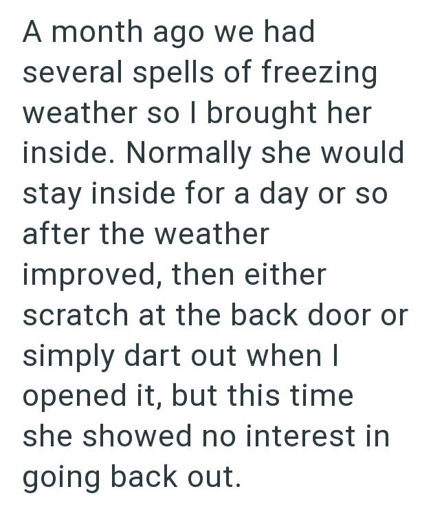 A month ago we had several spells of freezing weather so I brought her inside. Normally she would stay inside for a day or so after the weather improved, then either scratch at the back door or simply dart out when I opened it, but this time she showed no interest in going back out.