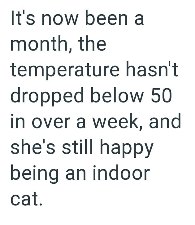It's now been a month, the temperature hasn't dropped below 50 in over a week, and she's still happy being an indoor cat.