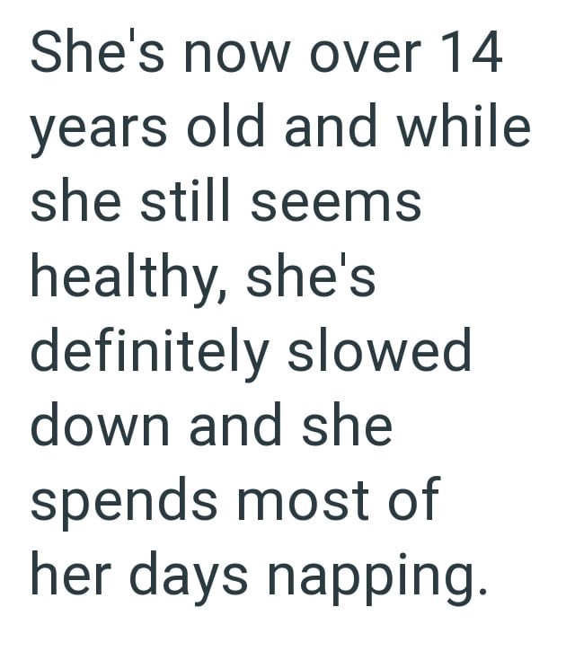 She's now over 14 years old and while she still seems healthy, she's definitely slowed down and she spends most of her days napping.