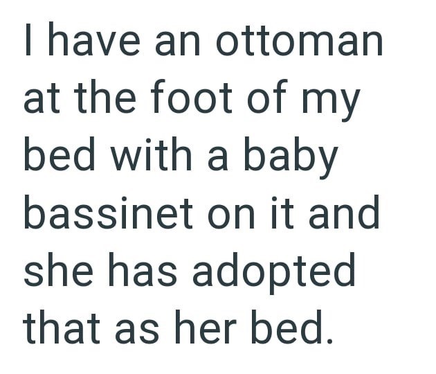 I have an ottoman at the foot of my bed with a baby bassinet on it and she has adopted that as her bed.