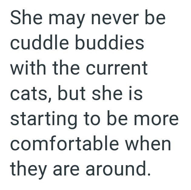 She may never be cuddle buddies with the current cats, but she is starting to be more comfortable when they are around.