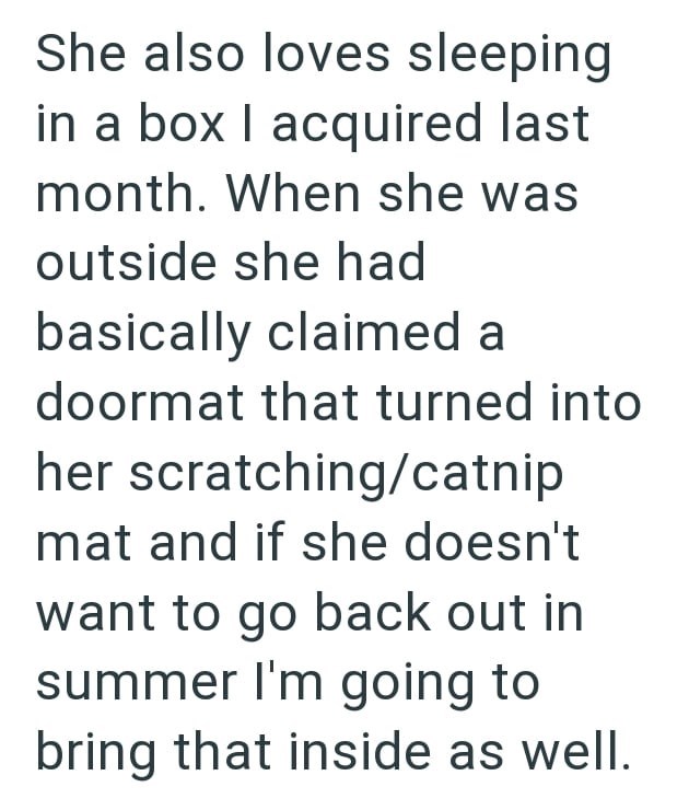 She also loves sleeping in a box I acquired last month. When she was outside she had basically claimed a doormat that turned into her scratching/catnip mat and if she doesn't want to go back out in summer I'm going to bring that inside as well.