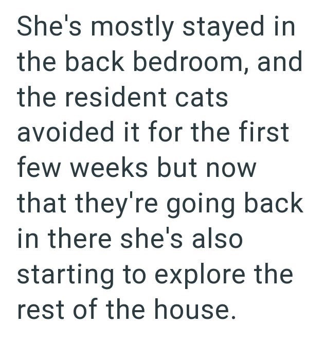She's mostly stayed in the back bedroom, and the resident cats avoided it for the first few weeks but now that they're going back in there she's also starting to explore the rest of the house.