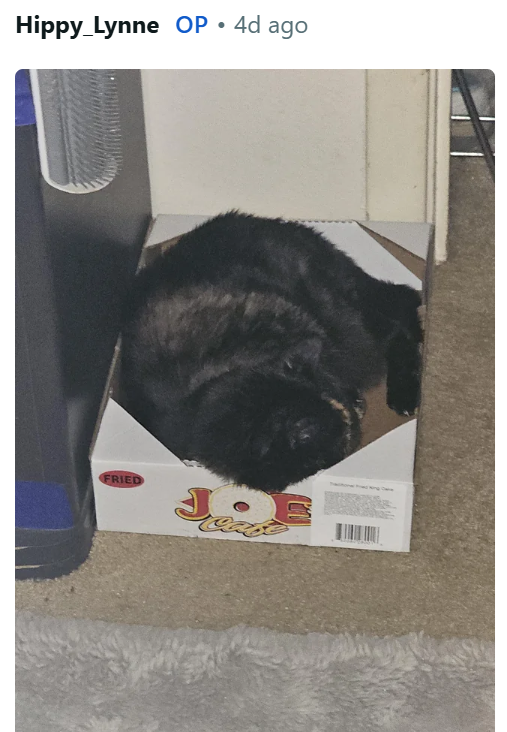 Hippy Lynne OP • 4d ago FRIED J